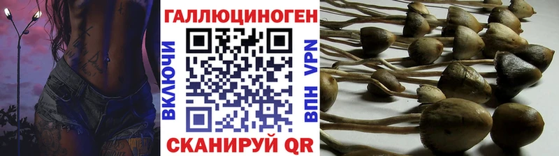 Галлюциногенные грибы GOLDEN TEACHER  Новый Уренгой 